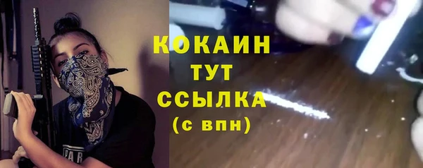 прущие грибы Красноперекопск