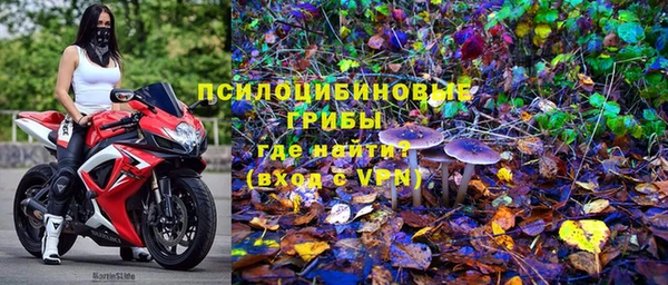 прущие грибы Красноперекопск