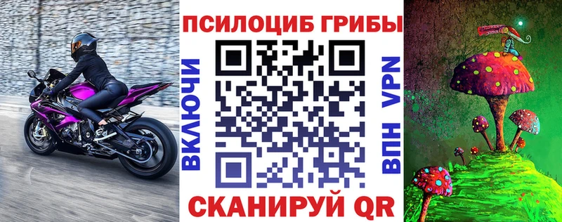 Псилоцибиновые грибы Cubensis  Чаплыгин 